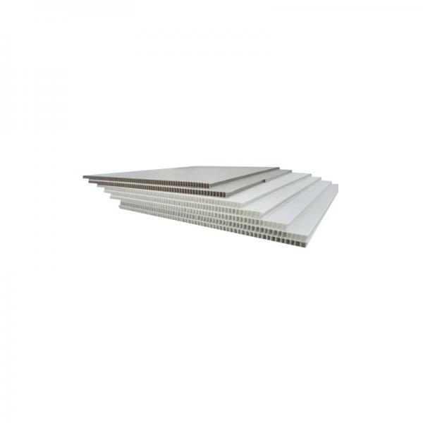 Clear Polycarbonate Panels Roofing Sheet PC Stripe Sheet #2 image
