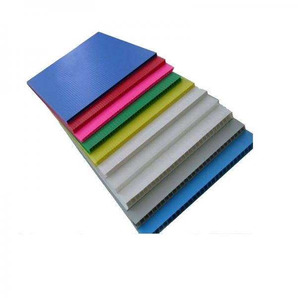 8mm Canopy Sheet Polycarbonate Hollow Two-Wall Sheet PC Sheet #1 image